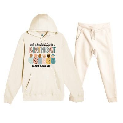 Beautiful Day for A Birthday Labor and Delivery Nurse Premium Hooded Sweatsuit Set