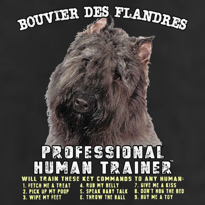 Bouvier Des Flandres Professional Human Trainer Cute Dog 7 Panel Mesh Trucker Snapback Hat