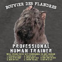Bouvier Des Flandres Professional Human Trainer Cute Dog Vector Backpack