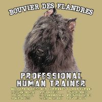 Bouvier Des Flandres Professional Human Trainer Cute Dog Button