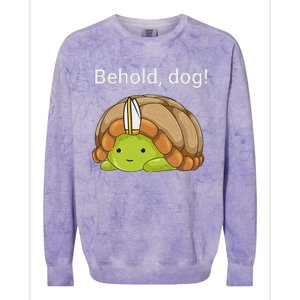 Behold Dog Funny Urtle Wearing A Priest Hat Colorblast Crewneck Sweatshirt