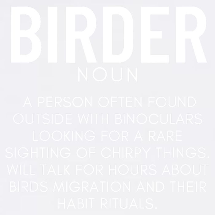 Birder Definition Funny Bird Watching Garment-Dyed Sweatshirt