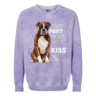 Boxer Dog, Funny Boxer Dog Gifts Colorblast Crewneck Sweatshirt