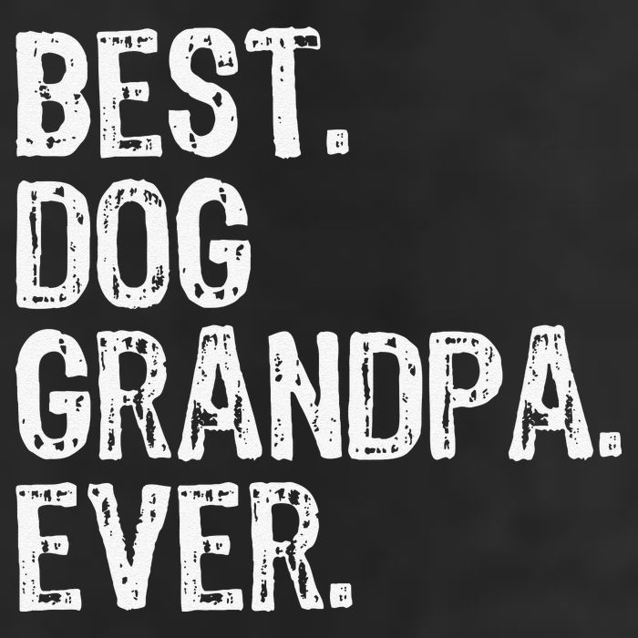 Best Dog Grandpa Ever Funny Cool 11oz C Handle Ceramic Mug