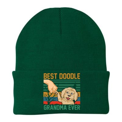 Best Doodle Grandma Ever Knit Cap Winter Beanie