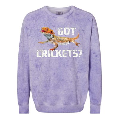 Bearded Dragon Got Crickets Funny Pet Lizard Lover Colorblast Crewneck Sweatshirt