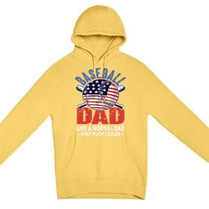 Baseball Dad Gift Funny Baseball Dad Gift Premium Pullover Hoodie