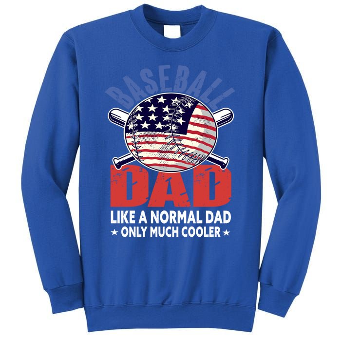 Baseball Dad Gift Funny Baseball Dad Gift Sweatshirt