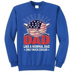 Baseball Dad Gift Funny Baseball Dad Gift Tall Sweatshirt