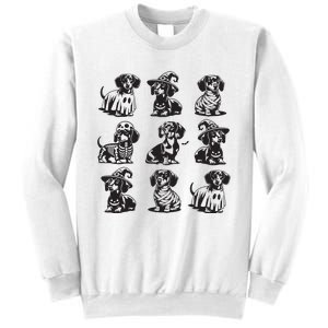 Boo Dachshund Halloween Spooky Dog Wiener Halloween Costume Sweatshirt