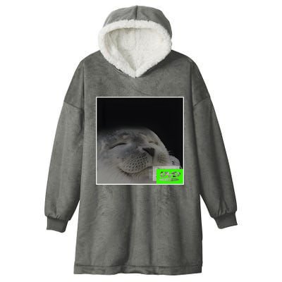 Bouncing Dvd Hits Corner Idle Screen Meme Hooded Wearable Blanket