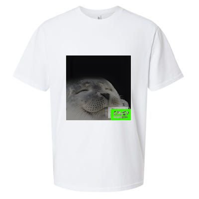 Bouncing Dvd Hits Corner Idle Screen Meme Sueded Cloud Jersey T-Shirt