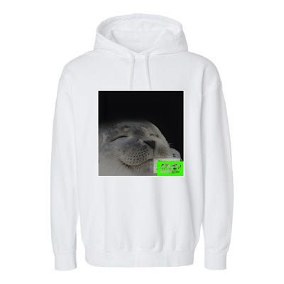 Bouncing Dvd Hits Corner Idle Screen Meme Garment-Dyed Fleece Hoodie