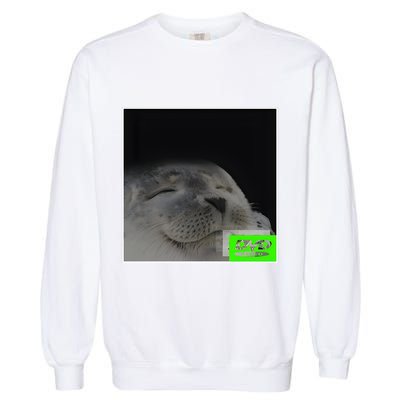Bouncing Dvd Hits Corner Idle Screen Meme Garment-Dyed Sweatshirt