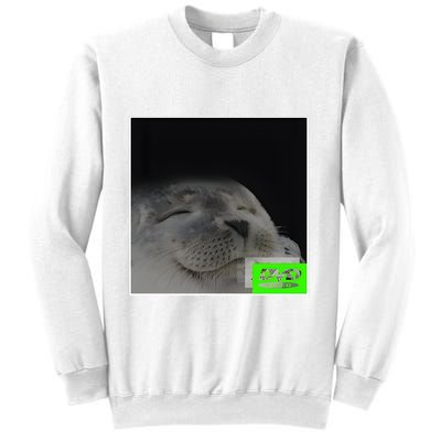 Bouncing Dvd Hits Corner Idle Screen Meme Sweatshirt