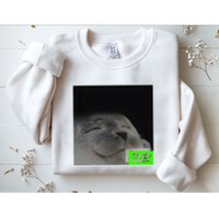 Bouncing Dvd Hits Corner Idle Screen Meme Sweatshirt