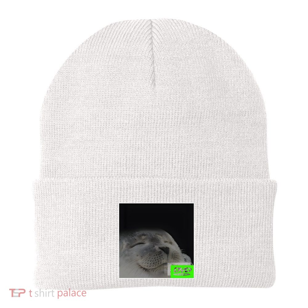 Bouncing Dvd Hits Corner Idle Screen Meme Beanie