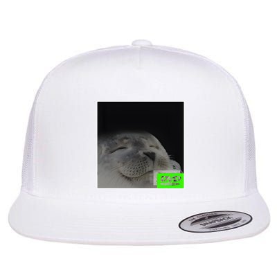 Bouncing Dvd Hits Corner Idle Screen Meme Flatbill Hat