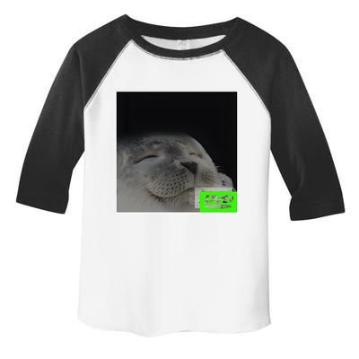 Bouncing Dvd Hits Corner Idle Screen Meme Toddler Fine Jersey T-Shirt