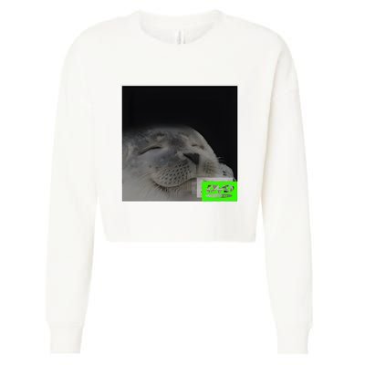 Bouncing Dvd Hits Corner Idle Screen Meme Cropped Pullover Crew