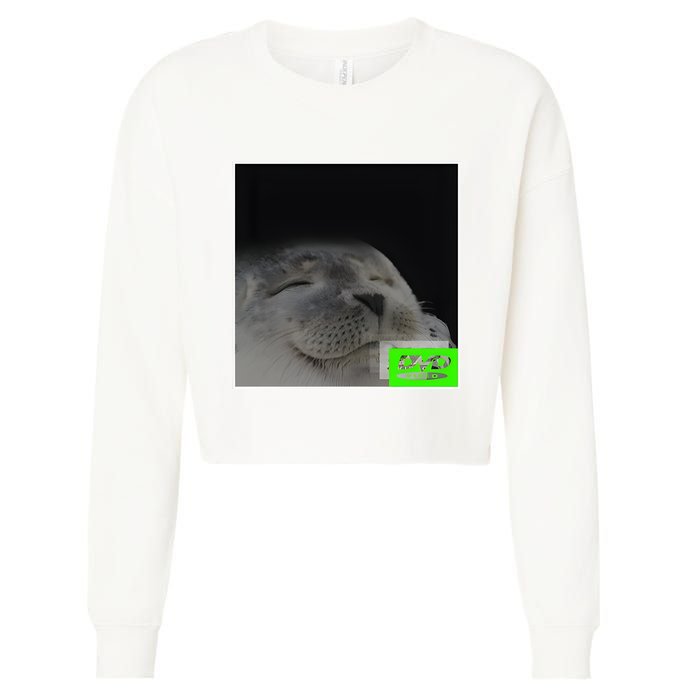 Bouncing Dvd Hits Corner Idle Screen Meme Cropped Pullover Crew