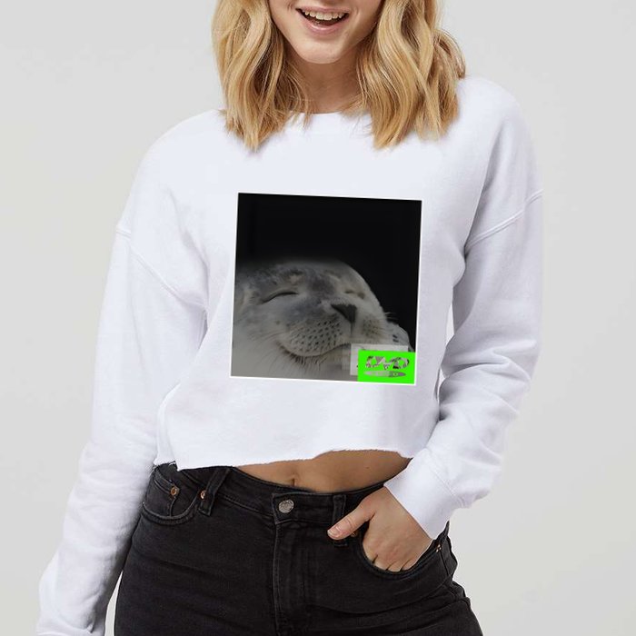 Bouncing Dvd Hits Corner Idle Screen Meme Cropped Pullover Crew