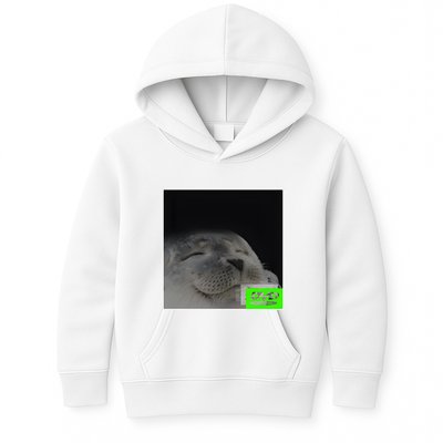 Bouncing Dvd Hits Corner Idle Screen Meme Kids Hoodie