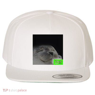Bouncing Dvd Hits Corner Idle Screen Meme Wool Snapback Cap