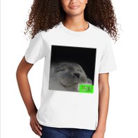 Bouncing Dvd Hits Corner Idle Screen Meme Kids T-Shirt