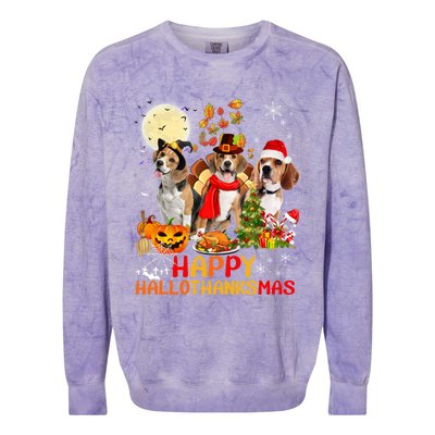 Beagle Dog Halloween Merry Christmas Happy Hallothanksmas Gift Colorblast Crewneck Sweatshirt