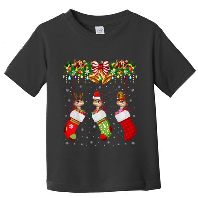 Bearded Dragon In Socks Xmas Santa Elf Reptile Lover Toddler T-Shirt