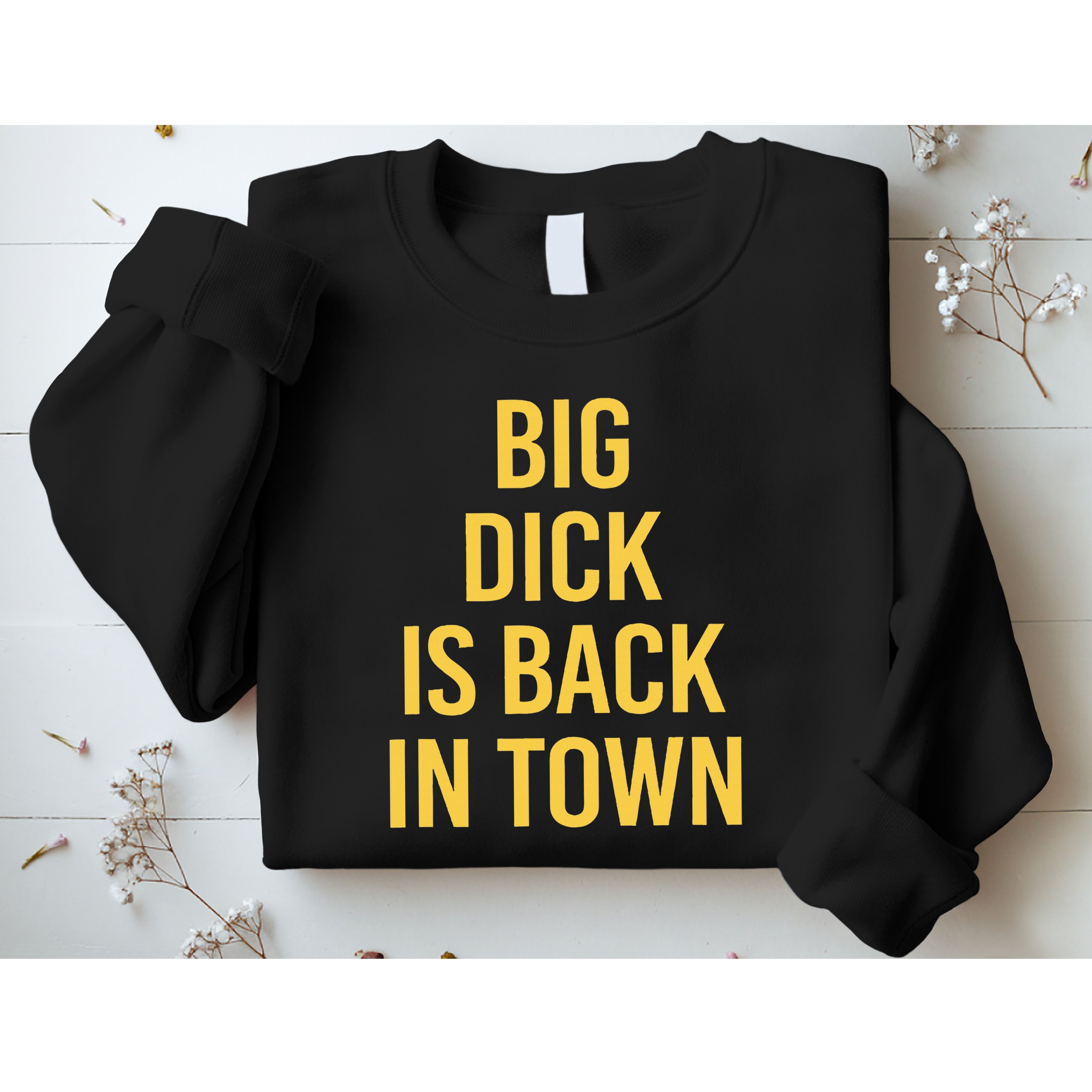 Big Dick Is Back In Town Funny Sarcastic Quote Saying Sweatshirt