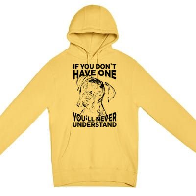 Boxer Dog If You Dont Have One Funny Tee Premium Pullover Hoodie