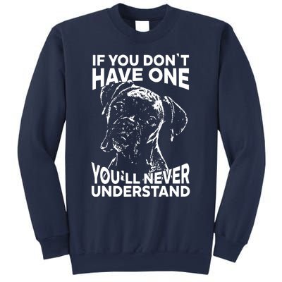 Boxer Dog If You Dont Have One Funny Tee Sweatshirt