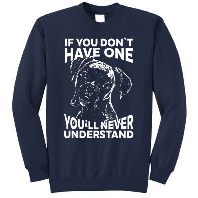 Boxer Dog If You Dont Have One Funny Tee Tall Sweatshirt