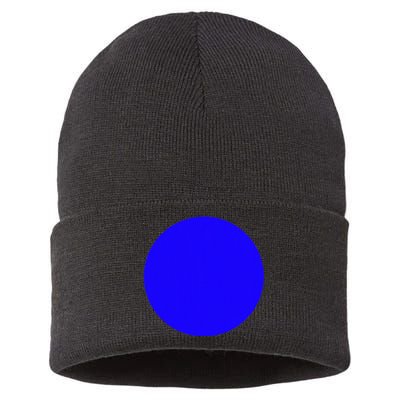 Blue Dot In A Red State Nebraska Kamala Harris Walz Sustainable Knit Beanie