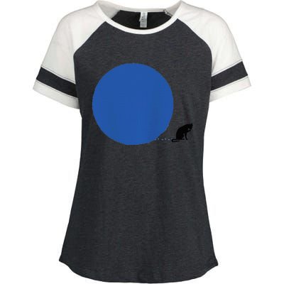 Blue Dot In A Red State Cat Vote Kamala Harris Walz Apparels Enza Ladies Jersey Colorblock Tee