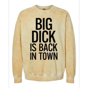 Big Dick Is Back In Town Funny Humor Sarcasm Colorblast Crewneck Sweatshirt