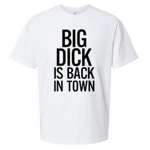 Big Dick Is Back In Town Funny Humor Sarcasm Sueded Cloud Jersey T-Shirt