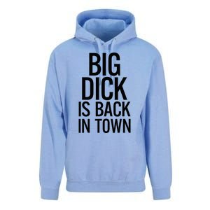 Big Dick Is Back In Town Funny Humor Sarcasm Unisex Surf Hoodie