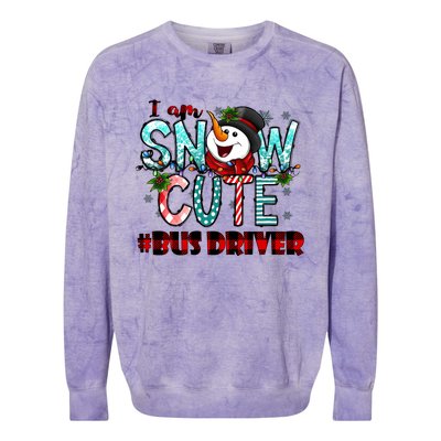 Bus Driver I Am Snow Cute Gift Colorblast Crewneck Sweatshirt