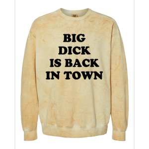 Big Dick Is Back In Town Funny Colorblast Crewneck Sweatshirt