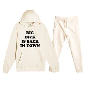 Big Dick Is Back In Town Funny Premium Hooded Sweatsuit Set