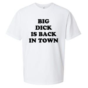 Big Dick Is Back In Town Funny Sueded Cloud Jersey T-Shirt