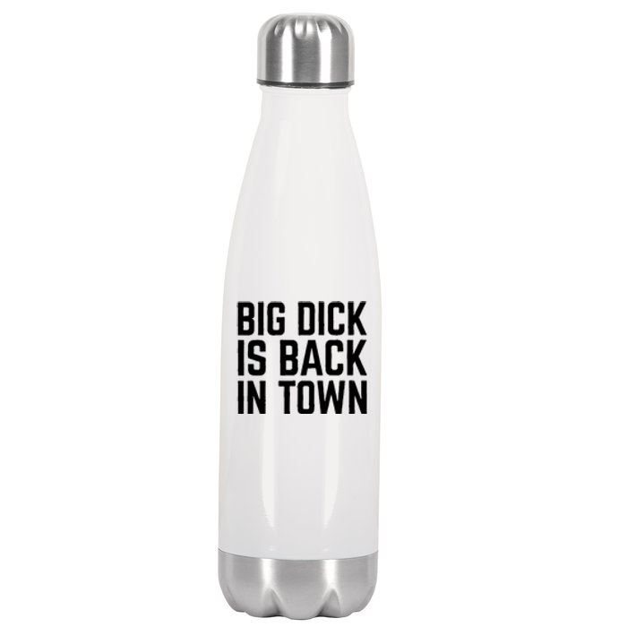 Big Dick Is Back In Town Funny Adult Sex Joke Gift Idea Stainless Steel Insulated Water Bottle