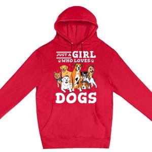 Boxer Dog Just A Girl Who Loves Dogs Premium Pullover Hoodie