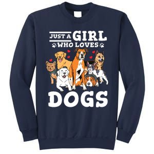 Boxer Dog Just A Girl Who Loves Dogs Sweatshirt