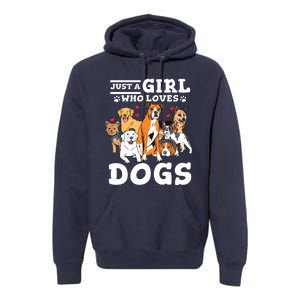 Boxer Dog Just A Girl Who Loves Dogs Premium Hoodie