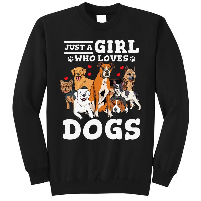 Boxer Dog Just a Who Loves Dogs Sweatshirt