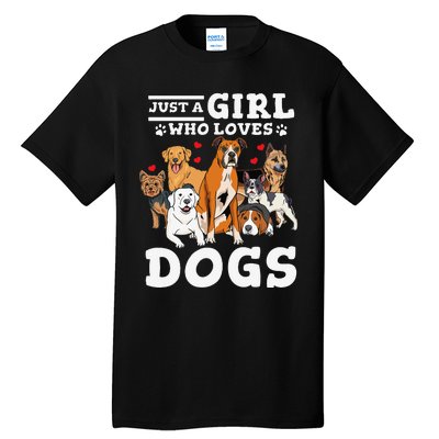 Boxer Dog Just a Who Loves Dogs Tall T-Shirt